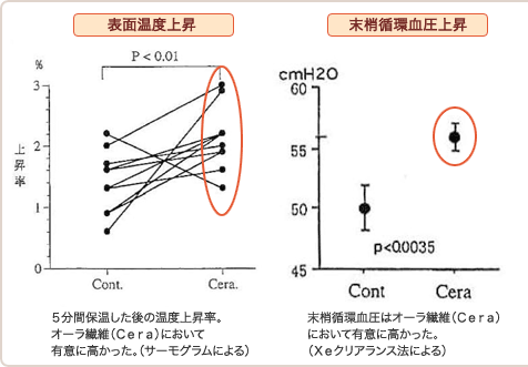 表面温度上昇と抹消循環血圧上昇