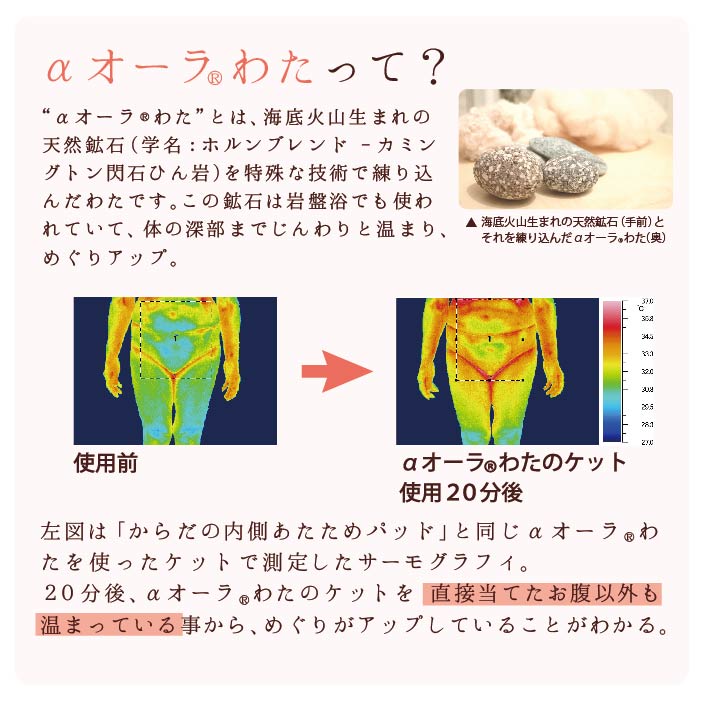 からだの内側あたためパッド