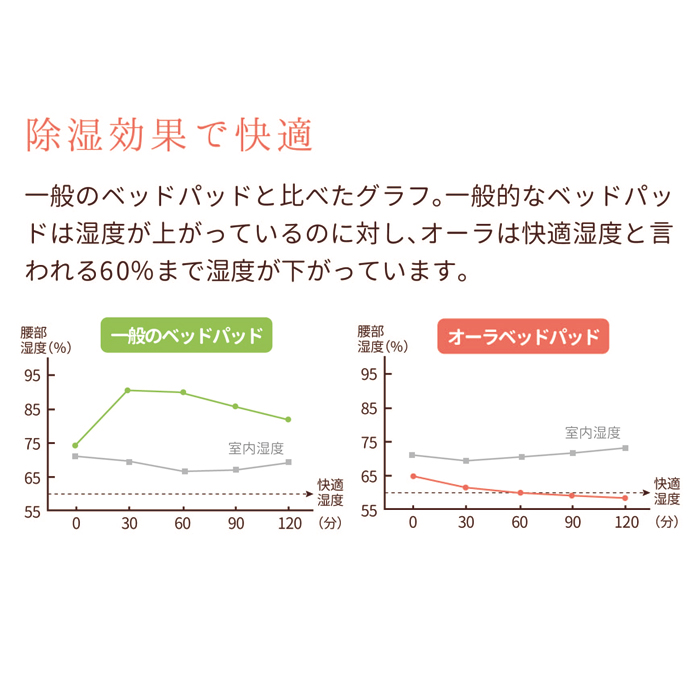 ぐぅぐぅパッド クオルテ