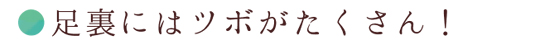 足裏にはツボがたくさん！