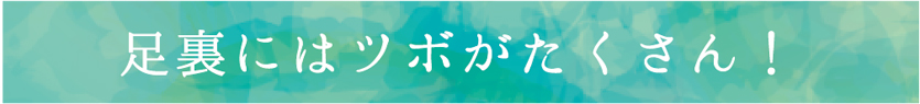 足裏にはツボがたくさん！