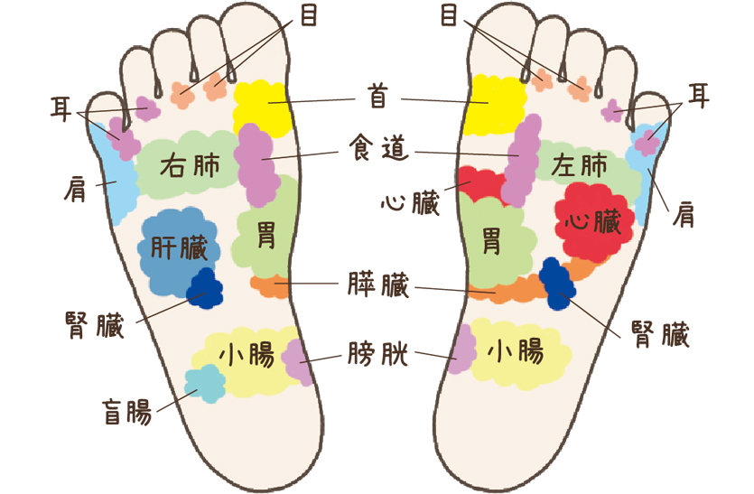 足裏にはツボがたくさん！