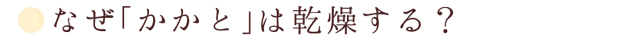 なぜかかとは乾燥する？